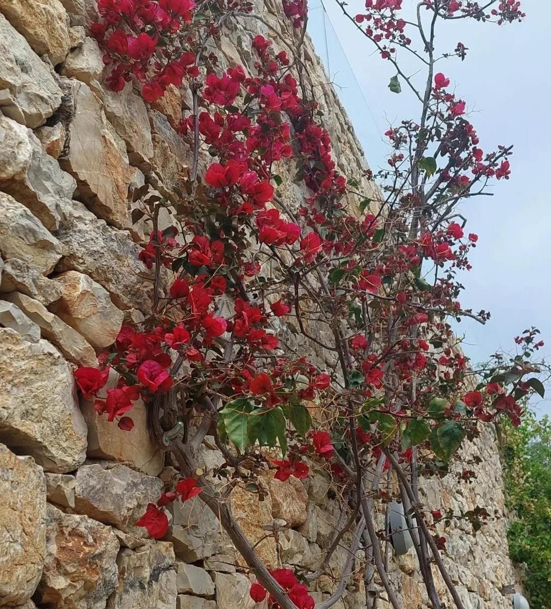 Kivérion Apollo Romantic Sea View Villa מראה חיצוני תמונה